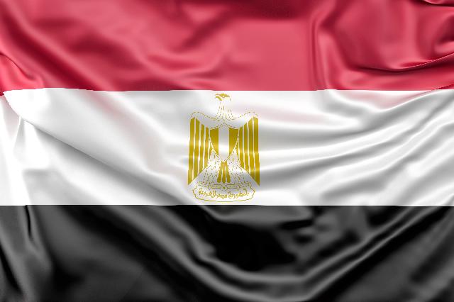 Прошла видеоконференция "Час с Торгпредом РФ в Арабской Республике Египет"
